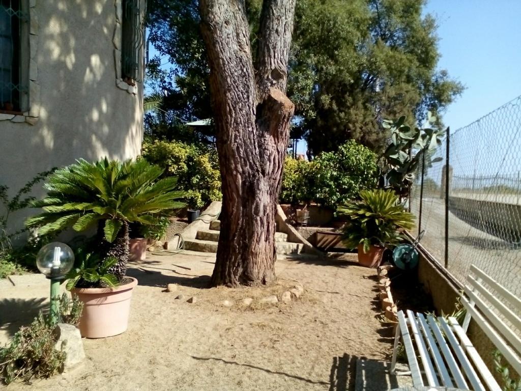 B&B Il Vigneto Capoterra Exterior foto